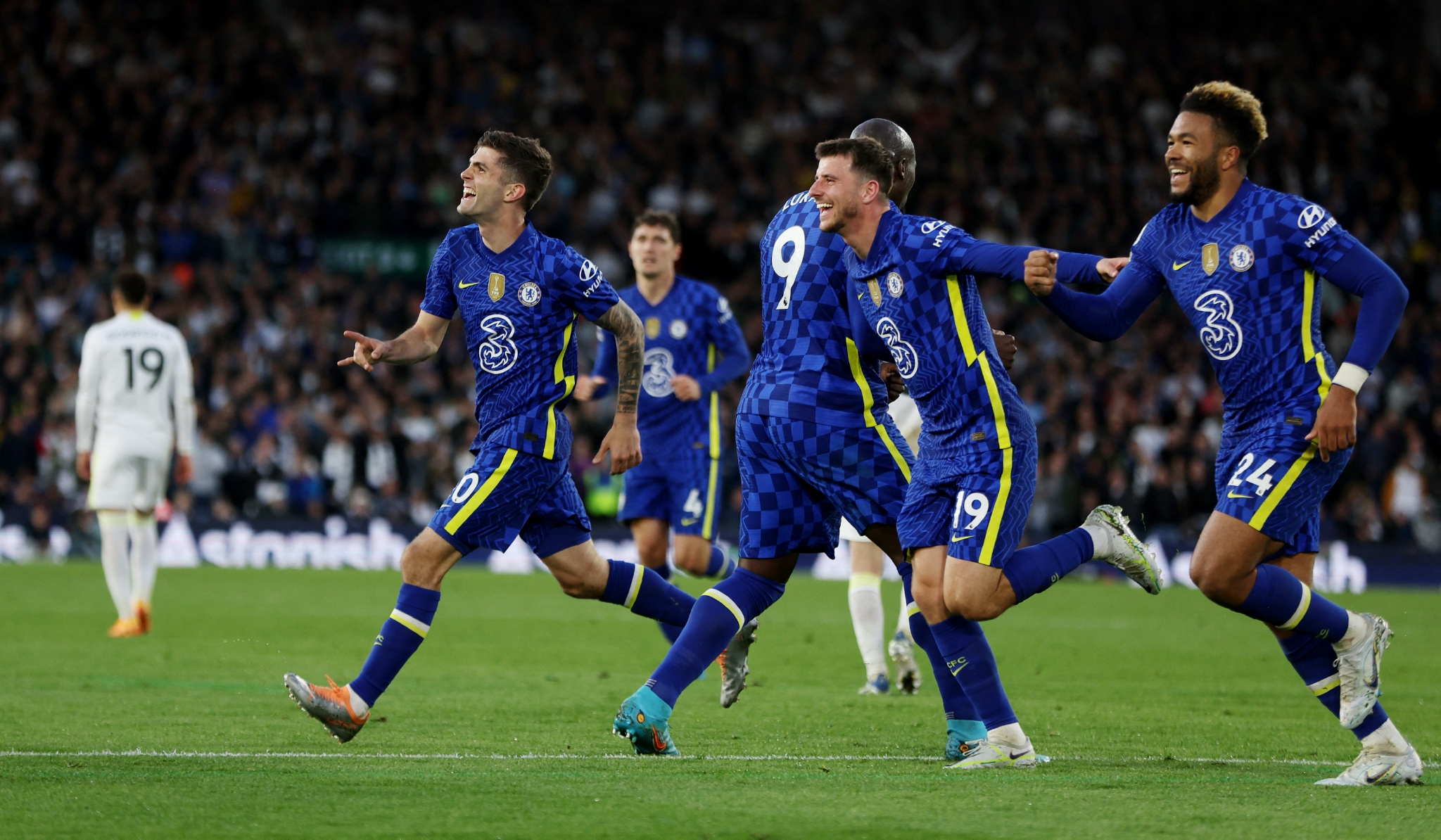 组织占主导 组织占主导