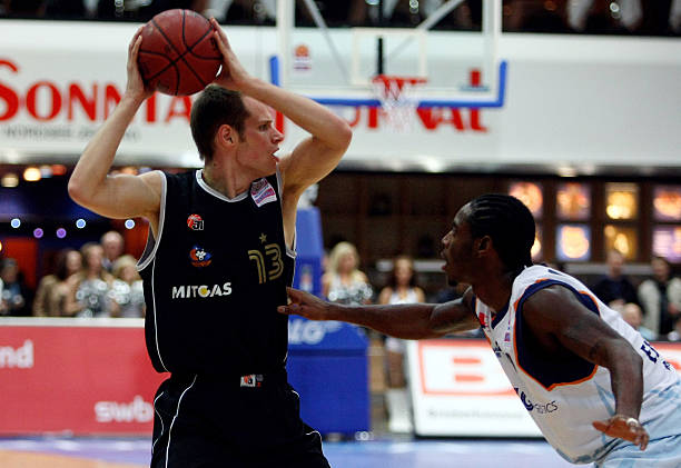 囊同样高度 囊同样高度